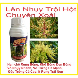 Phân bón lá Đậu Trái lên nhụy trội hội chuyên xoài chai 500ml