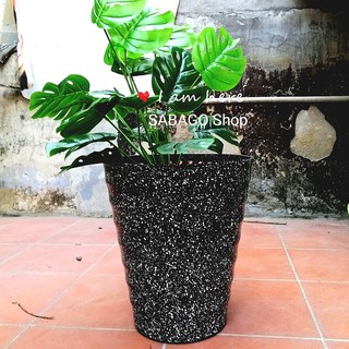 Chậu nhựa tròn trồng cây vân đá cao 35cm bền đẹp