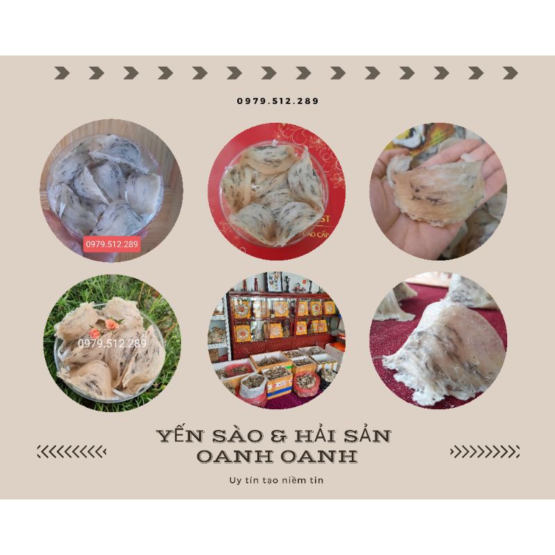 100gr yến thô già tổ lâu năm tặng táo đỏ, đường phèn. tổ yến thô nguyên chất