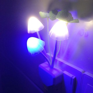 Đèn ngủ nấm đổi màu 2019 . KD1