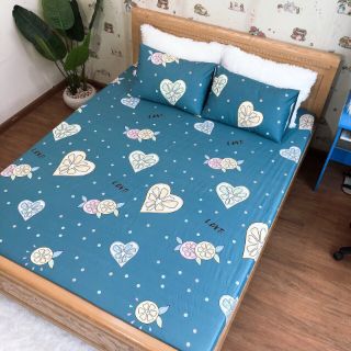 Ga chống thấm cotton 100% ( size ngoại cỡ)