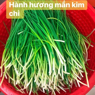 Kim chi Hành lá túi 1kg ( 파김치 )