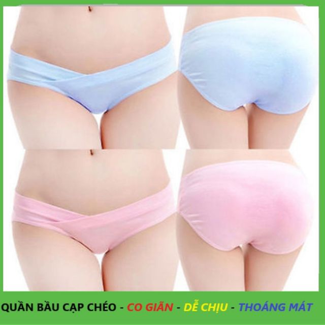 Combo quần lót bầu