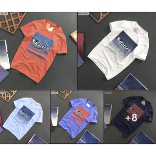 Áo thun nam cổ tròn Hipster gồm 5 màu (size M-> XXL) 205