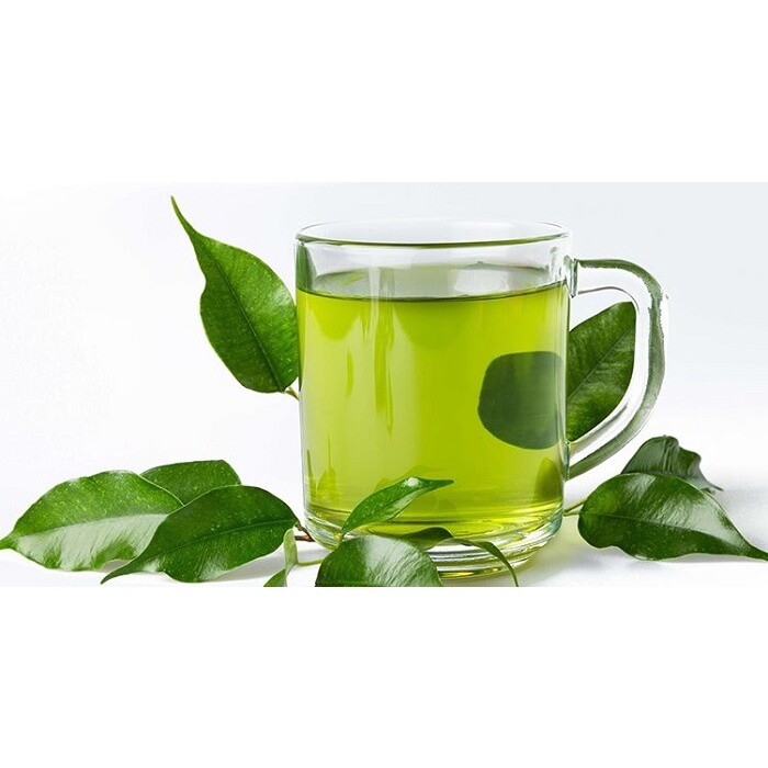 LÁ CHÈ XANH thái nguyên ( LÁ GIÀ TƯƠI) 1kg , Uống giải nhiệt, tắm trẻ em, khử trùng | BigBuy360 - bigbuy360.vn