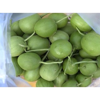 Hạt giống dưa hấu nụ, dưa canh - gói 5 gram