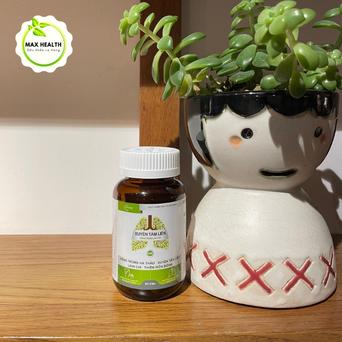 Xuyên Tâm Liên – Đông Trùng Linh Chi, thanh nhiệt, giải độc, bổ phế - MaxHealth