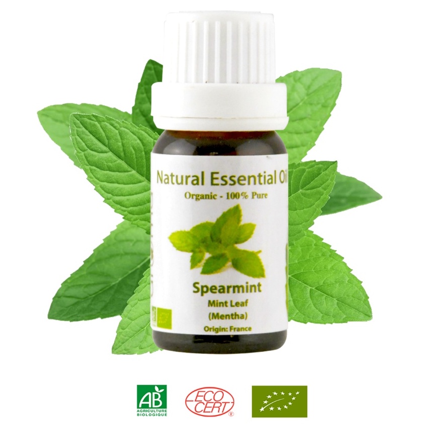 TINH DẦU XÔNG BẠC HÀ LÁ DÀI PHÁP - ESSENTIAL OILS SPEARMINT