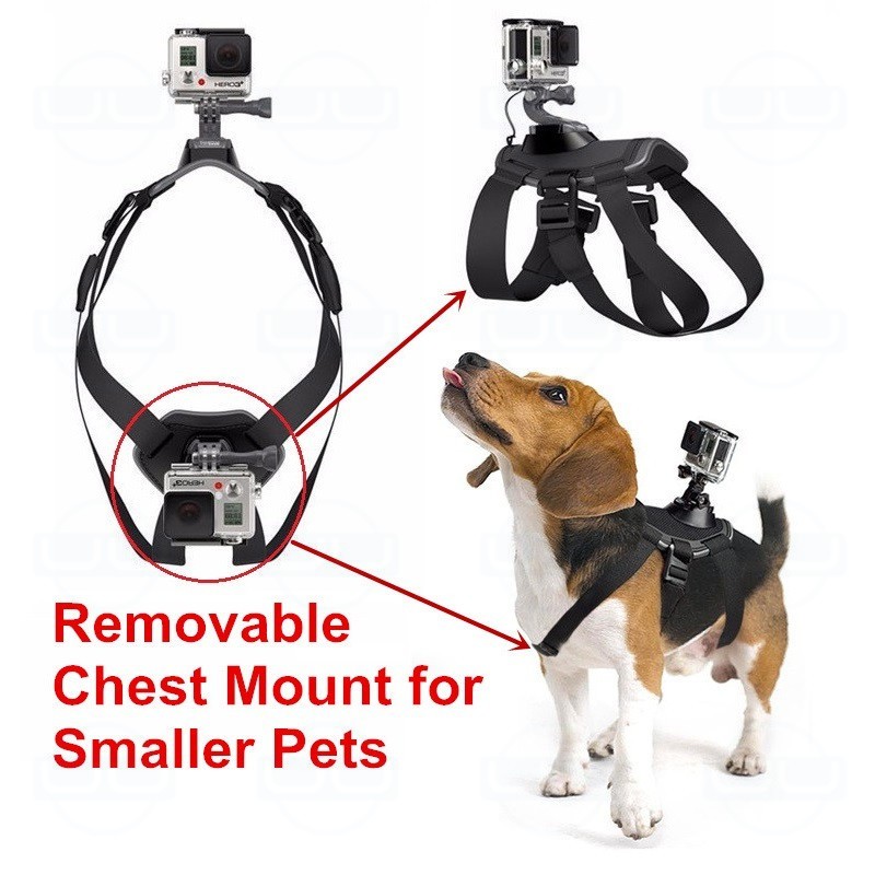 GoPro Harness Back + Chest Strap Mount for Hound Dog PET Elastic Belt Mount