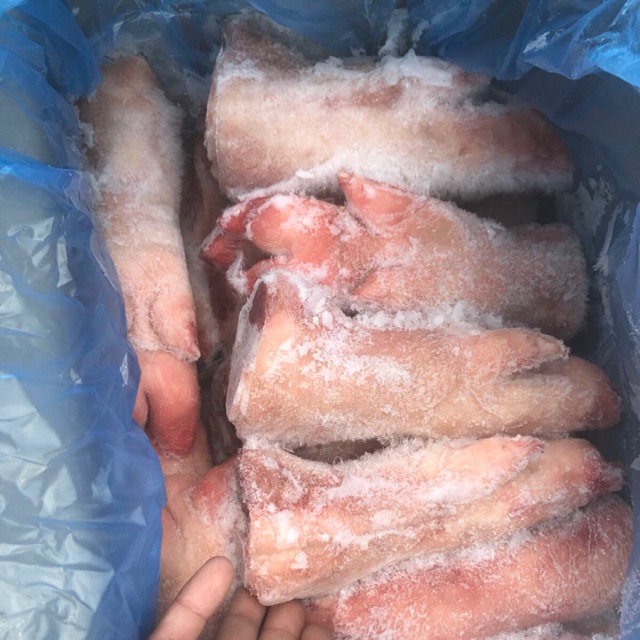 Móng giò heo đông lạnh