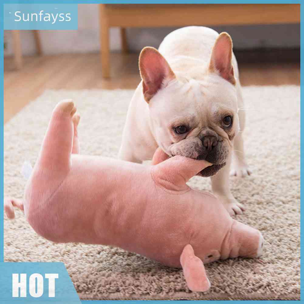 Thú Nhồi Bông Hình Heo Con Chống Cắn Dễ Thương Cho Thú Cưng