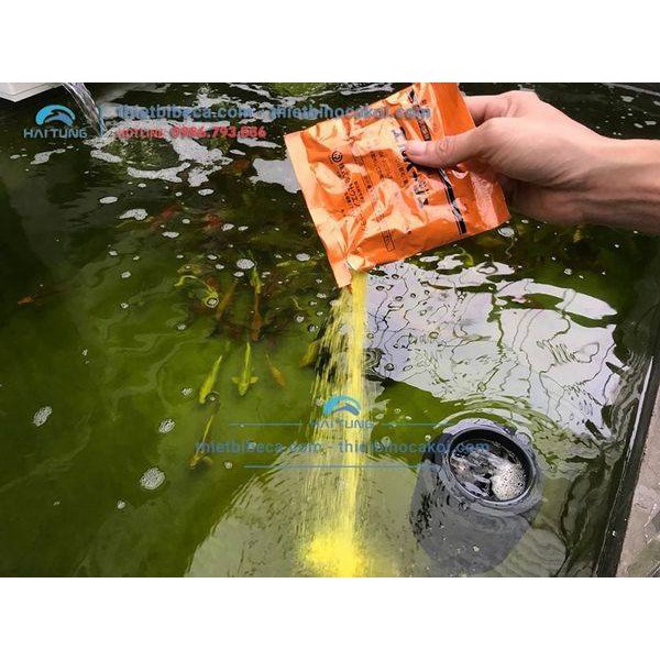 Chế Phẩm Sát Khuẩn Dưỡng Cá Tetra Nhật/ ELBAGIN