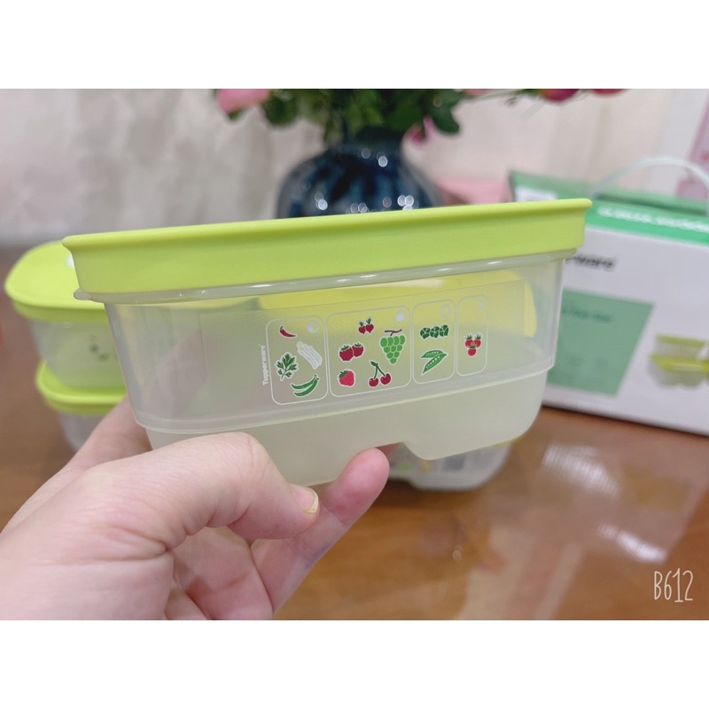 Bộ hộp trữ mát có nút hô hấp Ventsmart Five Star 800ML*2 & 375ML*3