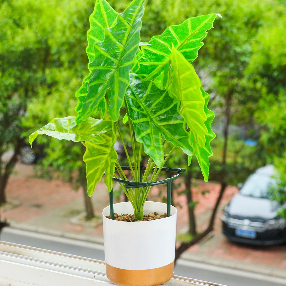 Bộ 10 Giá Đỡ Chậu Hoa Hình Chữ U Có Thể Tháo Rời Và Tái Sử Dụng