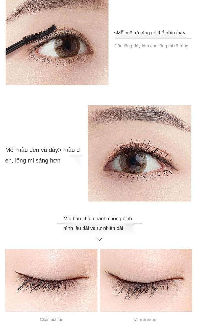 [Hàng mới về] Mascara chuốt dày dày và cong cho lông mi chống thấm nước lâu trôi | BigBuy360 - bigbuy360.vn