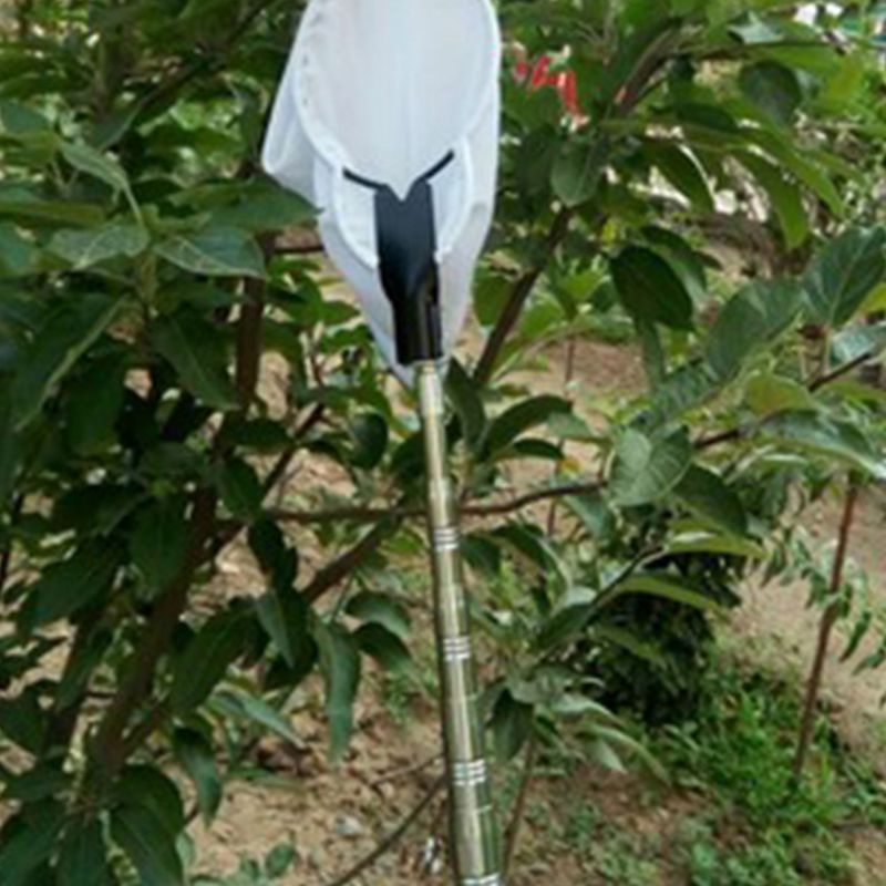 Dụng Cụ Nhặt Dập Cây Lê / Lê / Cherry Cho Apple