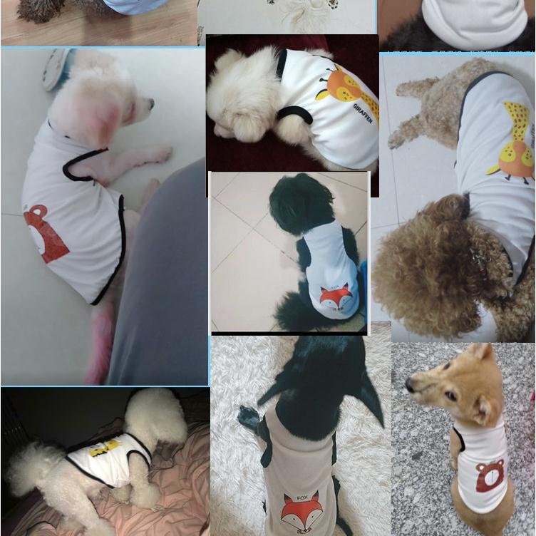 Áo sát nách mỏng thoáng khí phong cách Bắc Âu thời trang mùa hè dành cho thú cưng