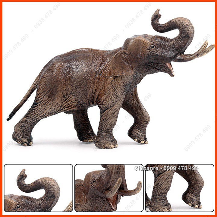 Mô Hình Voi Rừng Châu Phi Châu Á - 7665.9a