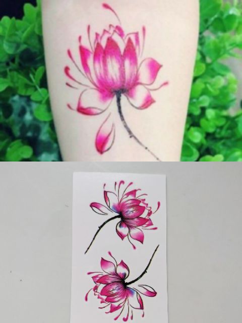 Hình xăm dán Tattoo xăm nước 9.7 × 5.7 cm