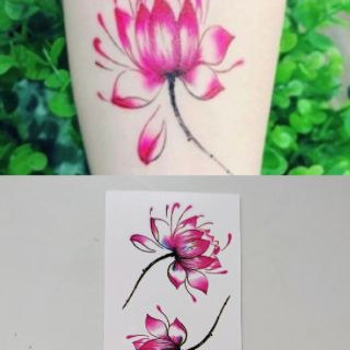 Hình xăm dán Tattoo xăm nước 9.7 × 5.7 cm