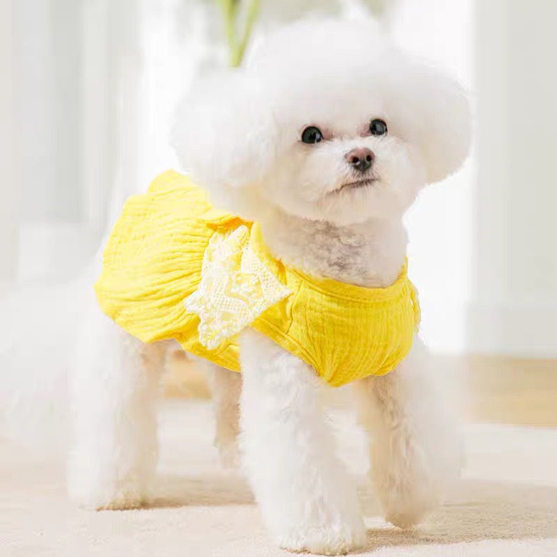 Đầm xô bông đính nơ dành cbo thú cưng