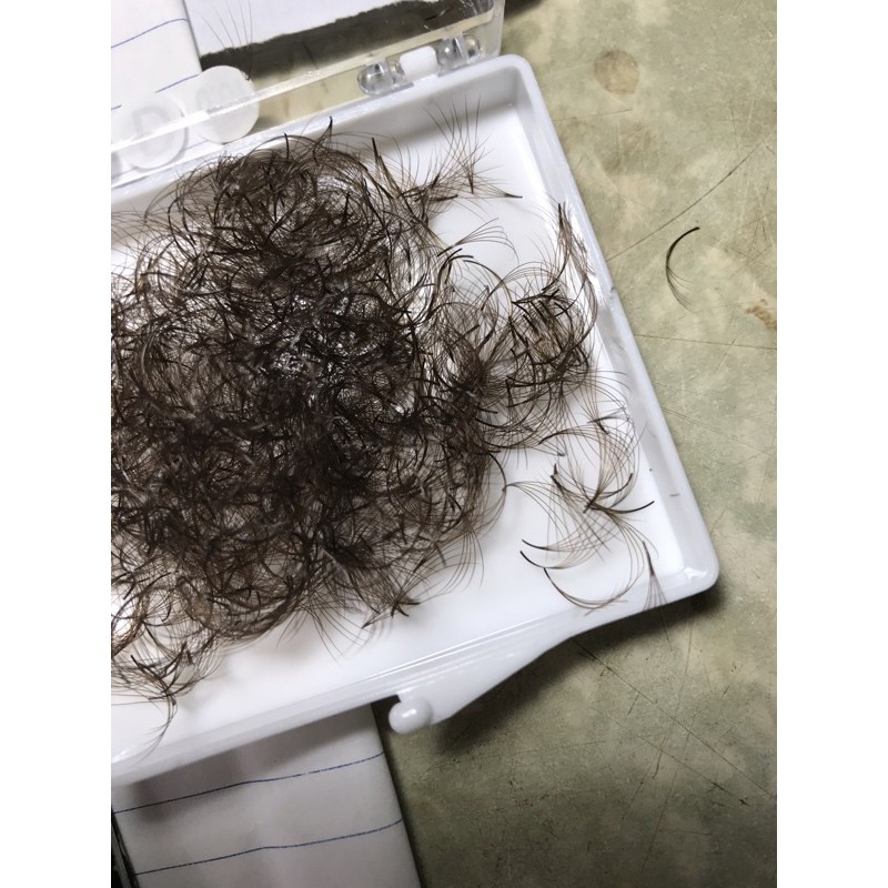 Mi fan nâu 5D 1000 fan