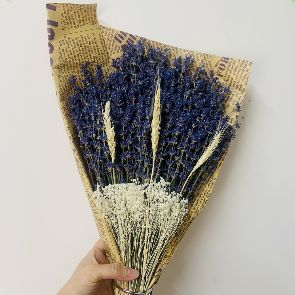 🍁 80 Gr (KHOẢNG 170 - 200 CÀNH) TRUE LAVENDER 🍁 Hoa khô Decor, quà tặng, trang trí nhà cửa