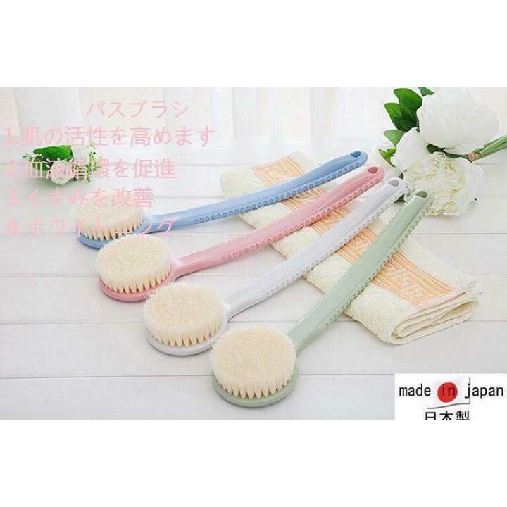 CỌ LƯNG CAO CẤP NHẬT BẢN