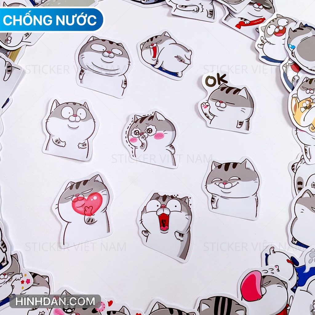 Mèo Ngộ Nghĩnh Chất Liệu PVC Cao Cấp Chống Thấm Nước Dán Trang Trí | Sticker Việt Nam