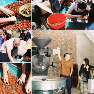 Flavor Robusta - Cà Phê Robusta Tím Lâm Hà Lâm Đồng