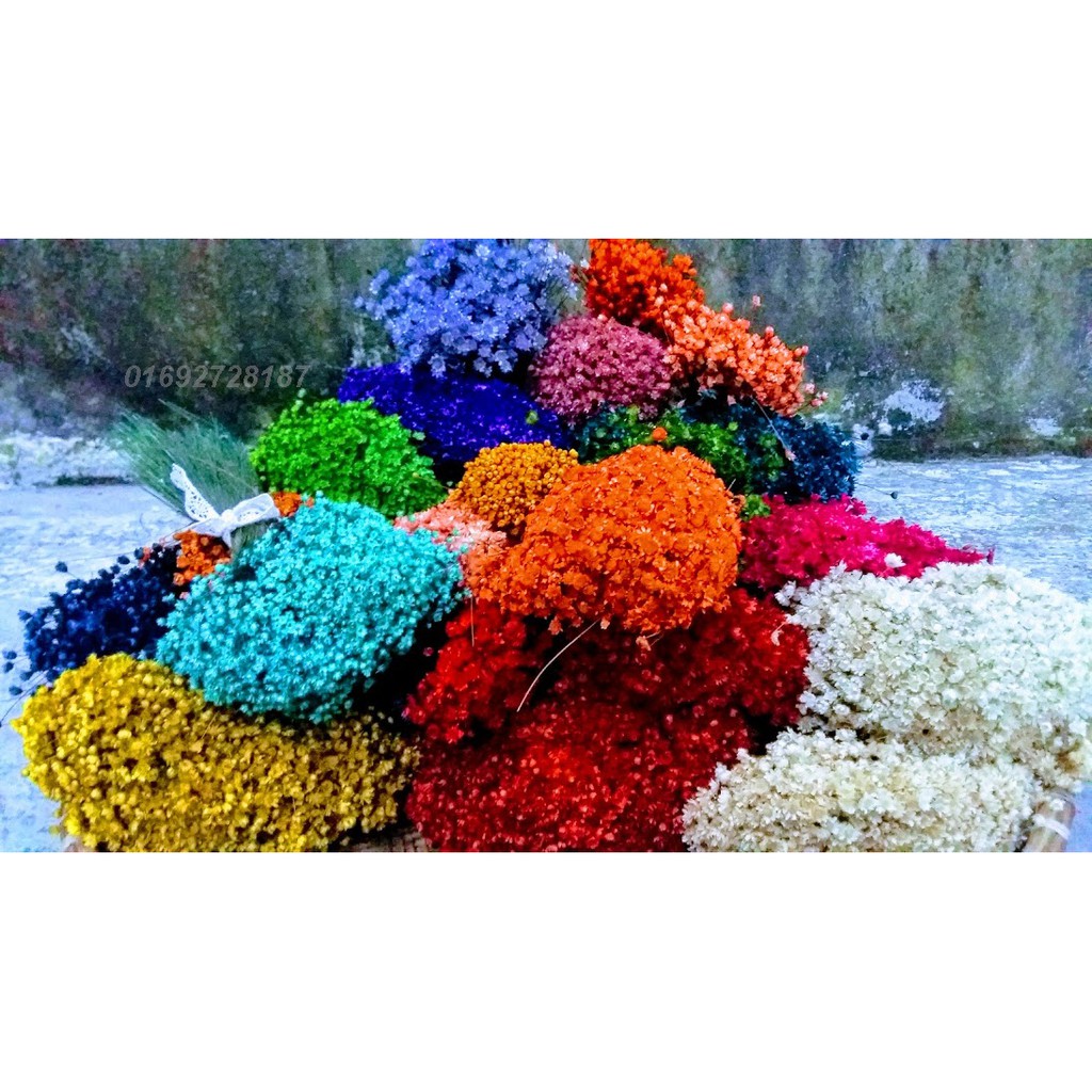 GLIXIA đủ các sắc màu.