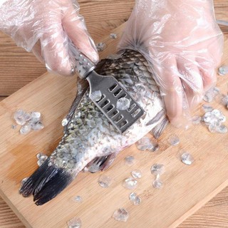 Dụng cụ đánh vẩy cá inox