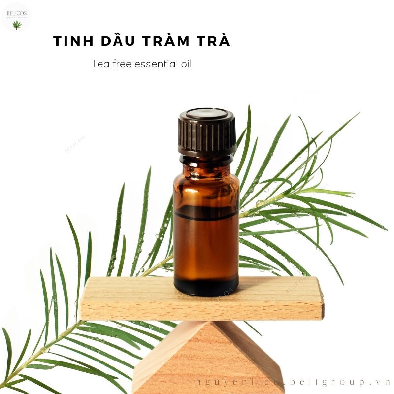 Tinh dầu Tràm Trà thiên nhiên 30ml nguyên chất 100%