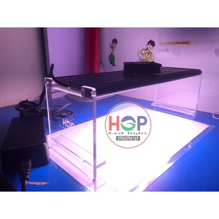 Đèn WRGB thuỷ sinh/ led Luxeon Epistar