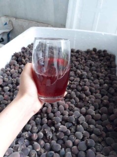 Sim chín khô ngâm rượu