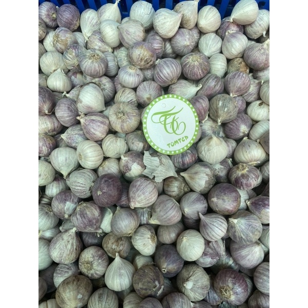 Tỏi cô đơn Phan Rang size to thơm ngon shop có bỏ sỉ (làm tỏi đen)