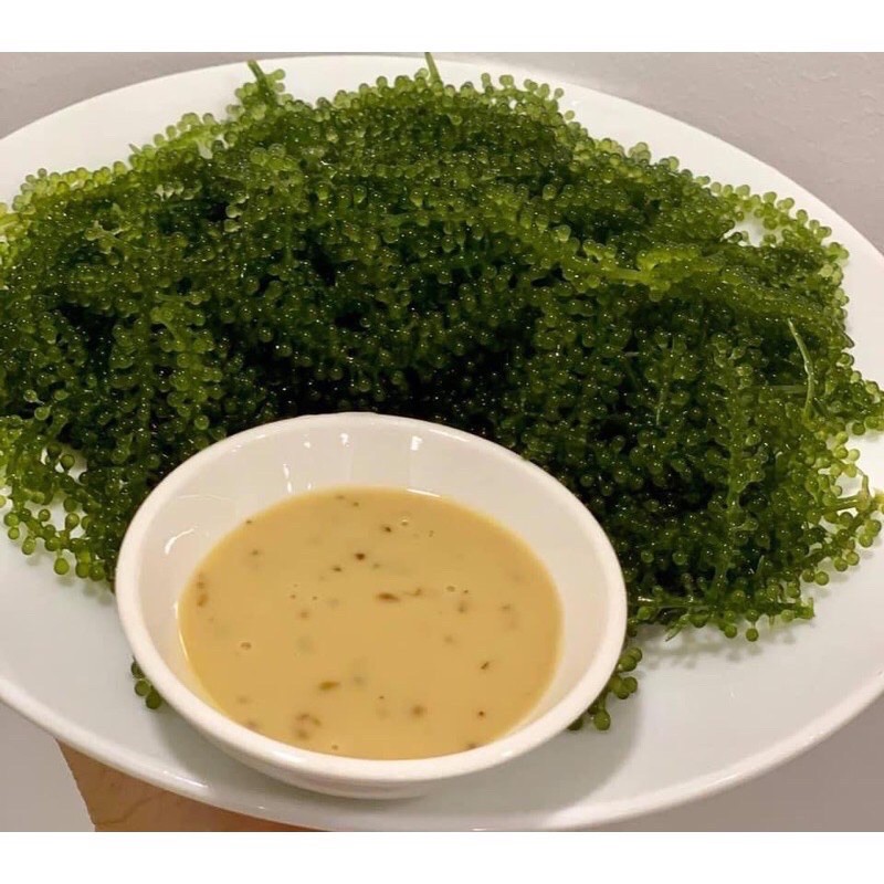 [ SALE ] Gói sốt mè rang | BigBuy360 - bigbuy360.vn