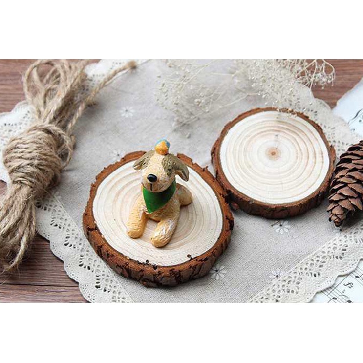 Bộ dụng cụ trang trí chụp ảnh không gây tiếng ồn chất lượng cao