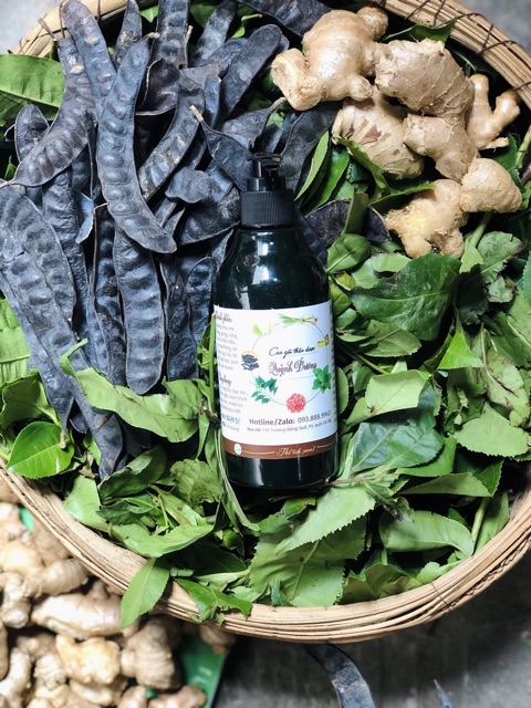 Dầu Gội Thảo Dược Bồ Kết Handmade Quỳnh Dương🌿Sạch gàu,Nấm ngứa,Ngừa rụng tóc,mọc tóc🍃 | BigBuy360 - bigbuy360.vn