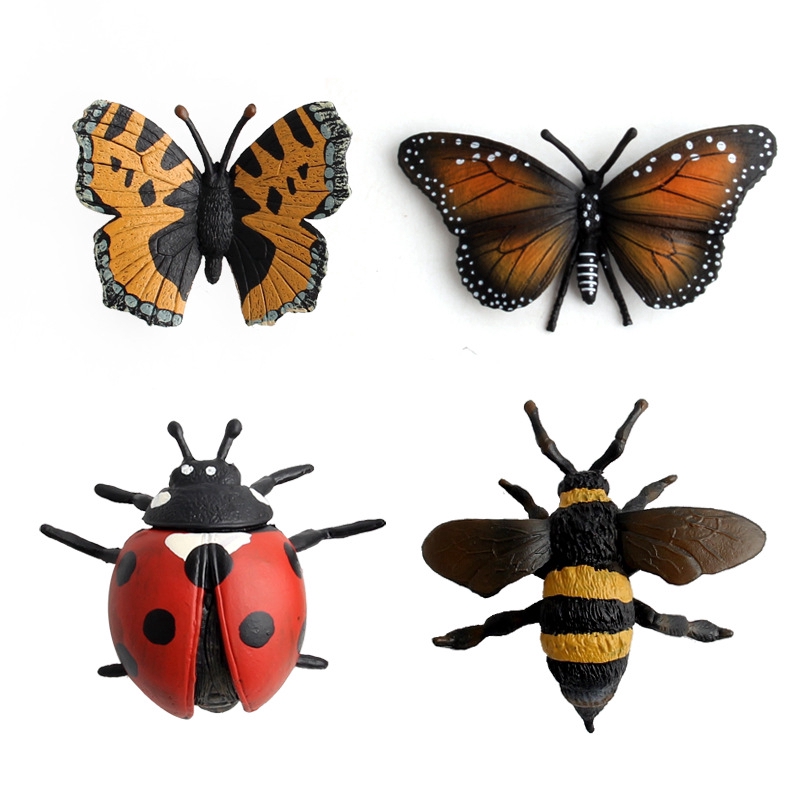 Mô phỏng mô hình động vật côn trùng khoa học giáo dục trẻ em món quà đồ chơi nhận thức