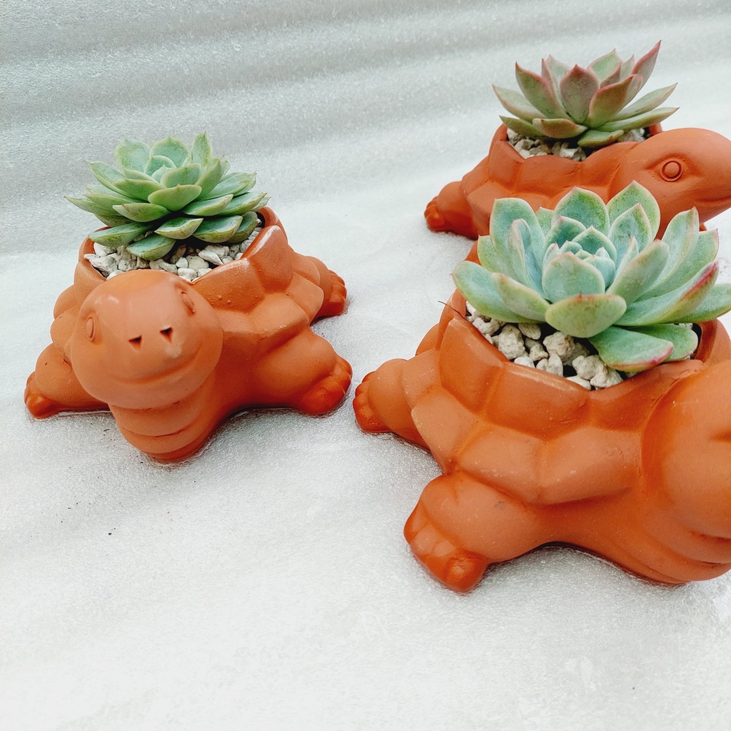 Chậu đất nung, Chậu sen đá - Con rùa, miệng chậu 8cm, chiều cao 6cm