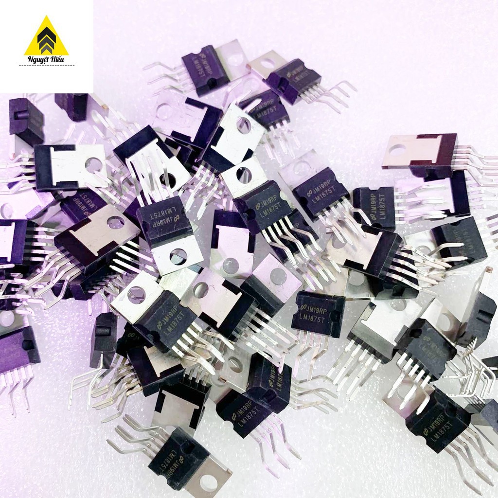[VM] - 2 con ic LM1875