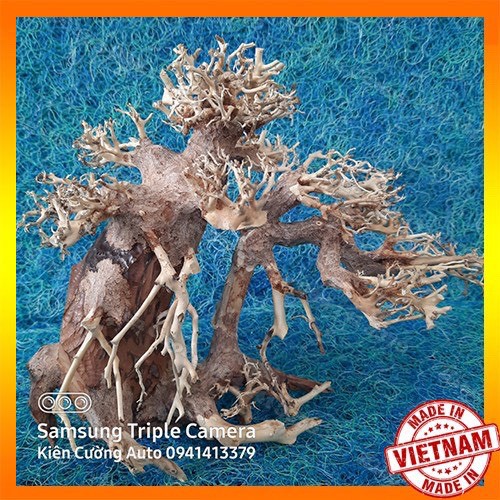 Cây gỗ lũa thủy sinh sử dụng cho bể cá cảnh, cây gỗ lúa cao cấp (Mẫu 9)