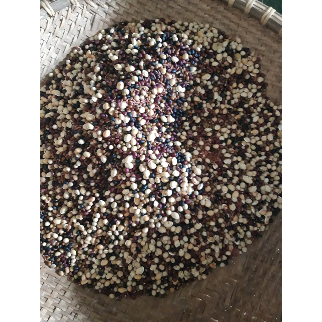 Bột Ngũ CốcTăng Cân Mix 6 Loại Hạt Dinh Dưỡng Cho Người Lớn, Trẻ Em 500 Gram