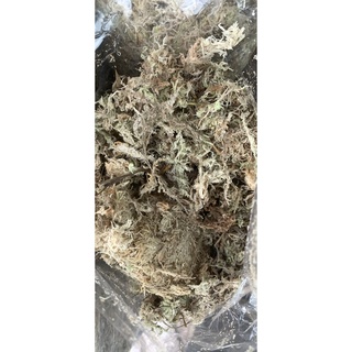 Giá thể dớn trắng trồng lan, kiểng lá gói 100gr
