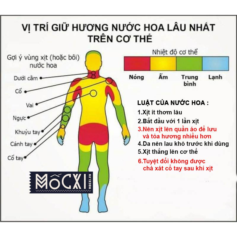 💥NARCISO💥 Nước hoa nữ #nhẹ nhàng #ngọt ngào 5ml Mùi Hương Nổi Tiếng Lưu Hương Lâu