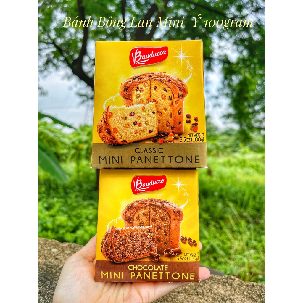 Bánh bông lan 80Gram men tự nhiên ⚡ GIÁ TỐT NHẤT ⚡ Bánh mì nhân Trái cây sấy và Socola Ý Panettone Bauducco 100g