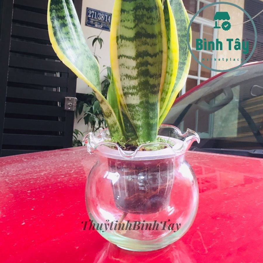 [HÌNH THẬT] CHẬU NHỰA RỌ NHỰA SIZE LỚN TRỒNG CÂY THỦY CANH TỰ TƯỚI SELF WATERING 13X8,5 BT-RO1385