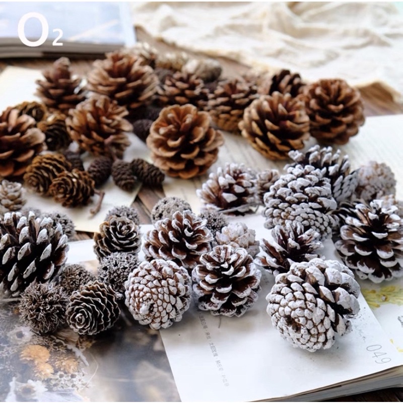 Quả thông khô tự nhiên sử dụng cho trang trí Giáng Sinh, Decor