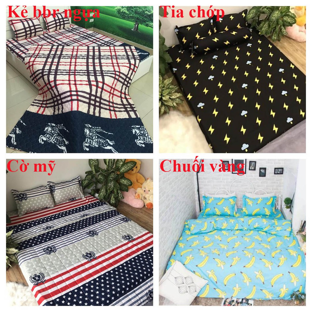 Rẻ nhất Bộ ga gối cotton poly 1m5x2m hcm 5M010,ĐƯỢC CHỌN MẪU